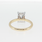 14K Gold | White and Yellow Gold 3CT Rectangular Brilliant Cut Lab Diamond with Hidden Halo and Pavé Band Engagement Ring