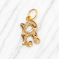 Gold letter 'R' pendant on a white background 19.2K Portuguese Gold | Medium Initial Charms Initial charms 