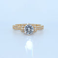 14K Gold | CZ Wrap Around Halo