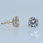14K Gold | Stud CZ Earrings