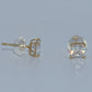 14K Gold | Stud CZ Earrings
