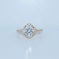 14K Gold | CZ Clover Halo