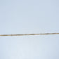 19.2K Portuguese Gold | Beaded Box Anklet